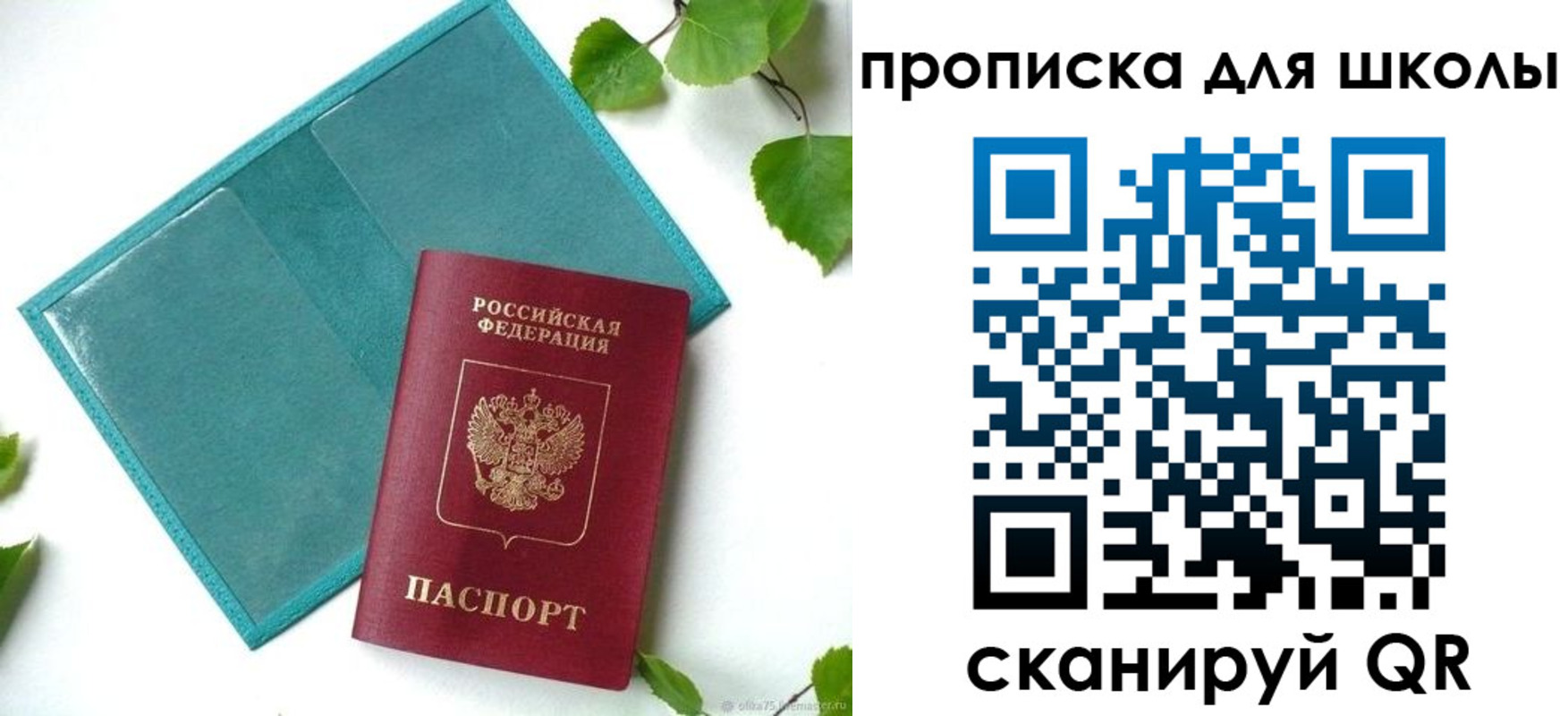 прописка в Заинске